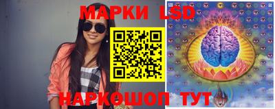 apvp Бийск