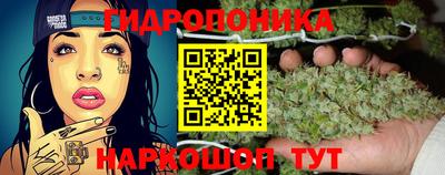 apvp Бийск