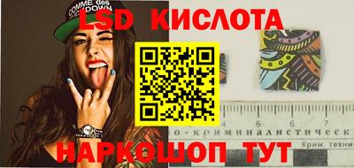 apvp Бийск
