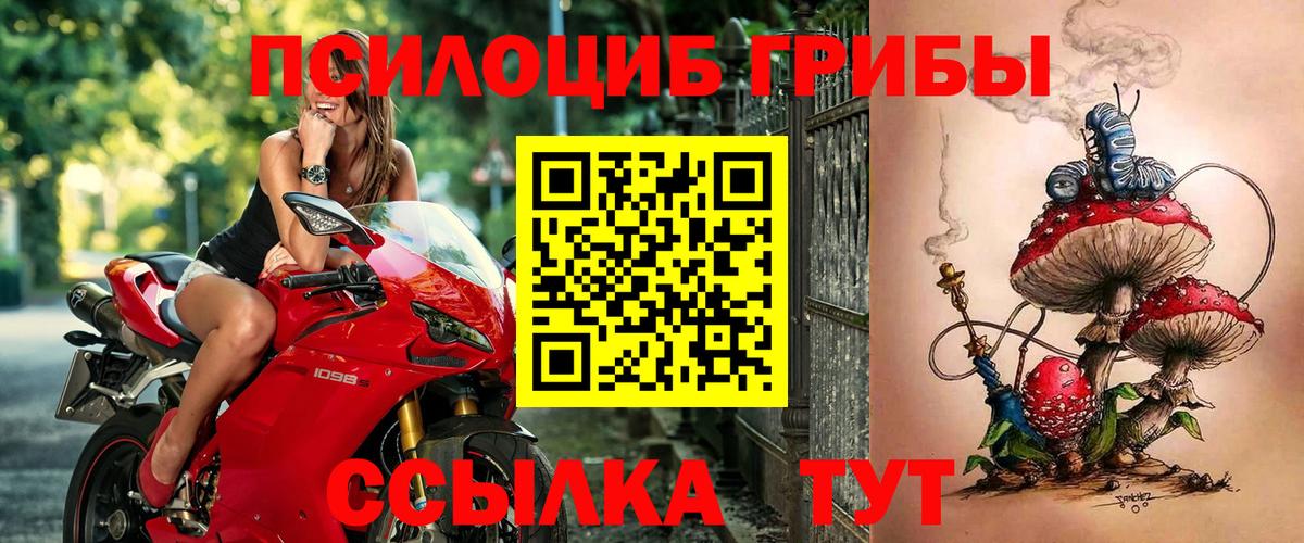 Волжский  Галлюциногенные грибы мухоморы  Вход с VPN 